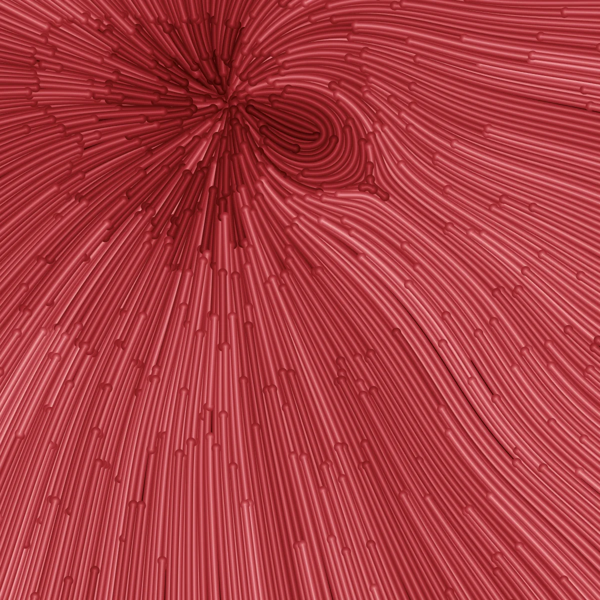 Aigrette — generative artwork