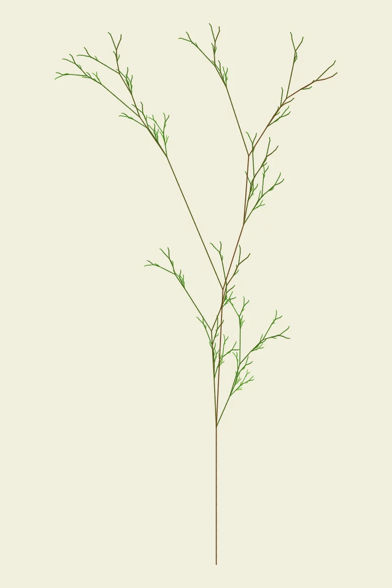 Botanical Lsystem — generative artwork by Lumen & Logic